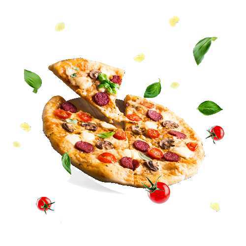 Pizza Tabanları | Aly Foods